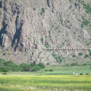 Abra del Hinojo en Sierra de la Ventana