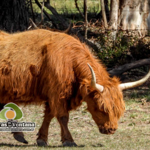 Estancia Mahuida Co en Sierra de la Ventana