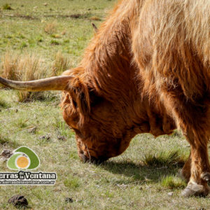 Estancia Mahuida Co en Sierra de la Ventana