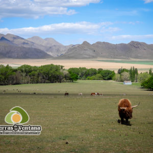 Estancia Mahuida Co en Sierra de la Ventana