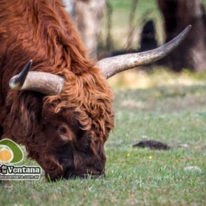 Estancia Mahuida Co en Sierra de la Ventana