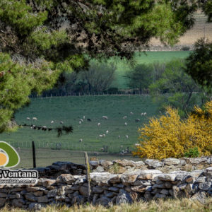 Estancia Mahuida Co en Sierra de la Ventana