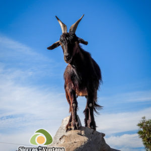 Estancia Mahuida Co en Sierra de la Ventana