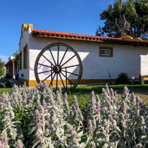 Cabañas La Candelaria