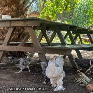 Cabañas Paraiso Violeta