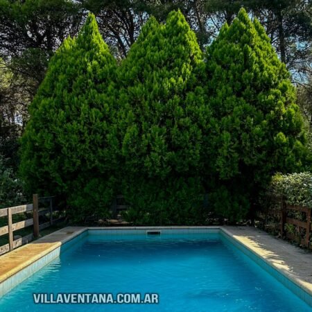 Cabañas Paraiso Violeta en Villa Ventana