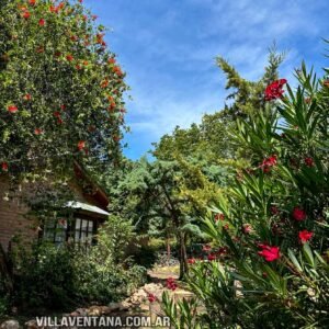 Cabañas Paraiso Violeta