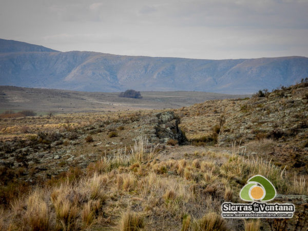 la trochita de sierra de la ventana