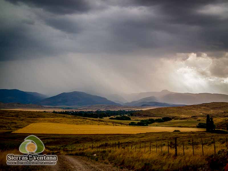 Luuvias en Sierra de la Ventana