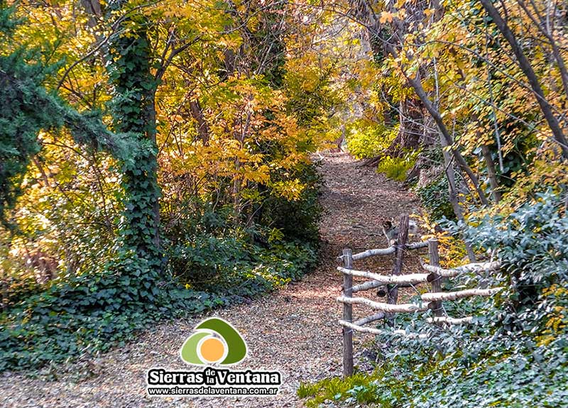 Otoño en Sierra de la Ventana