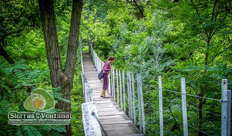 Puente colgante en Sierra de la Ventana