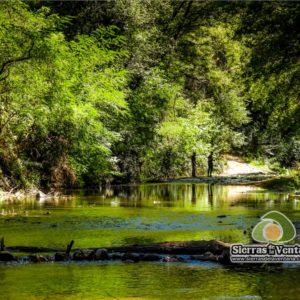 Arroyo en Sierra de la Ventana
