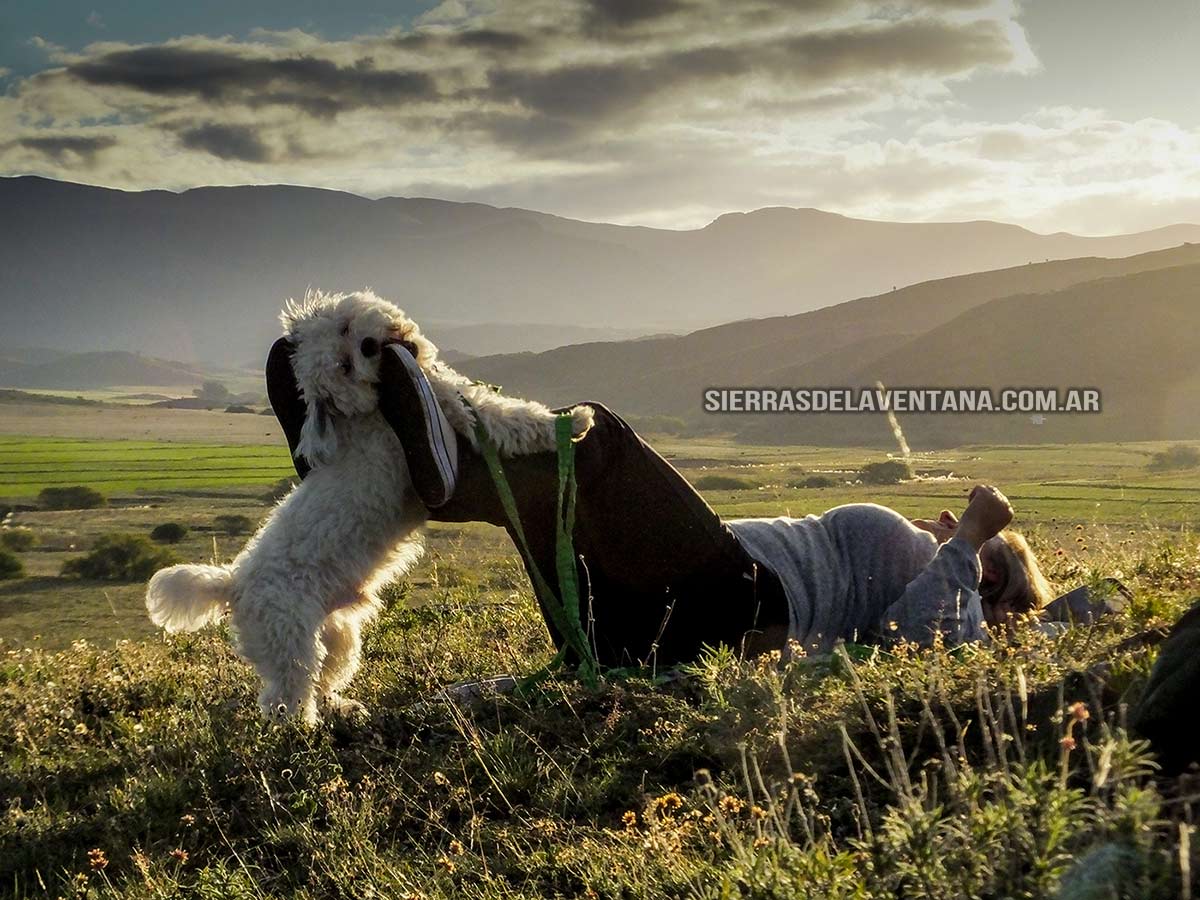 Alojamientos y cabañas que aceptan mascotas pet friendly en Sierra de la Ventana y Villa Ventana