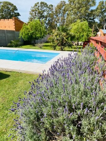 Cabañas lo de lito en Saldungaray