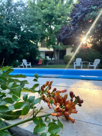 Raíces Hostería en Sierra de la Ventana