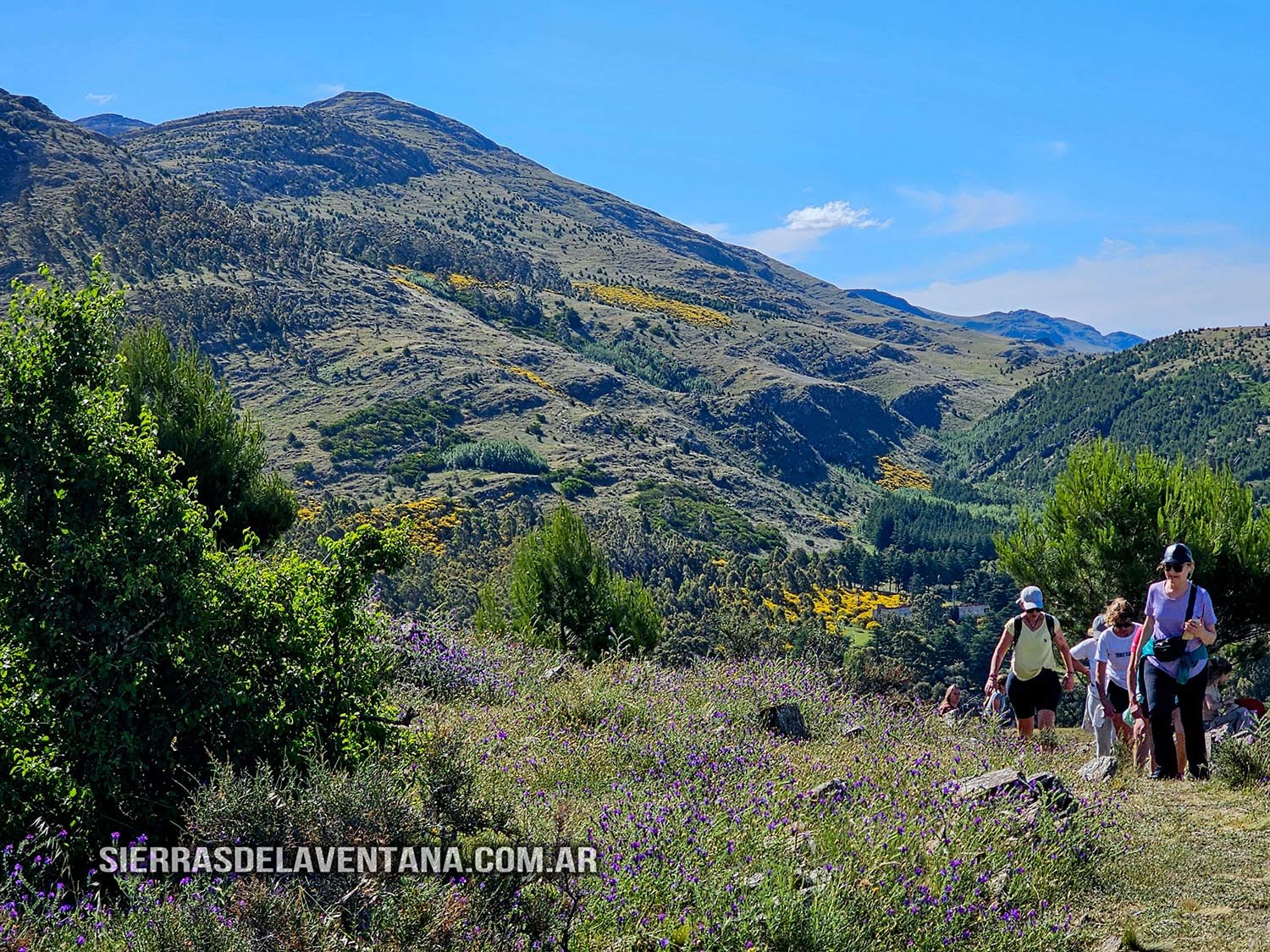 Temporada 2026 en las Sierras de la Ventana