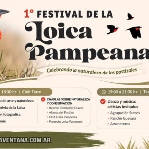 1° Festival de la Loica Pampeana en Saavedra
