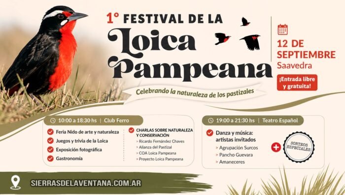 1° Festival de la Loica Pampeana en Saavedra